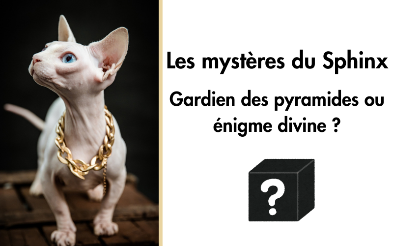 Les mystères du Sphinx : gardien des pyramides ou énigme divine ?
