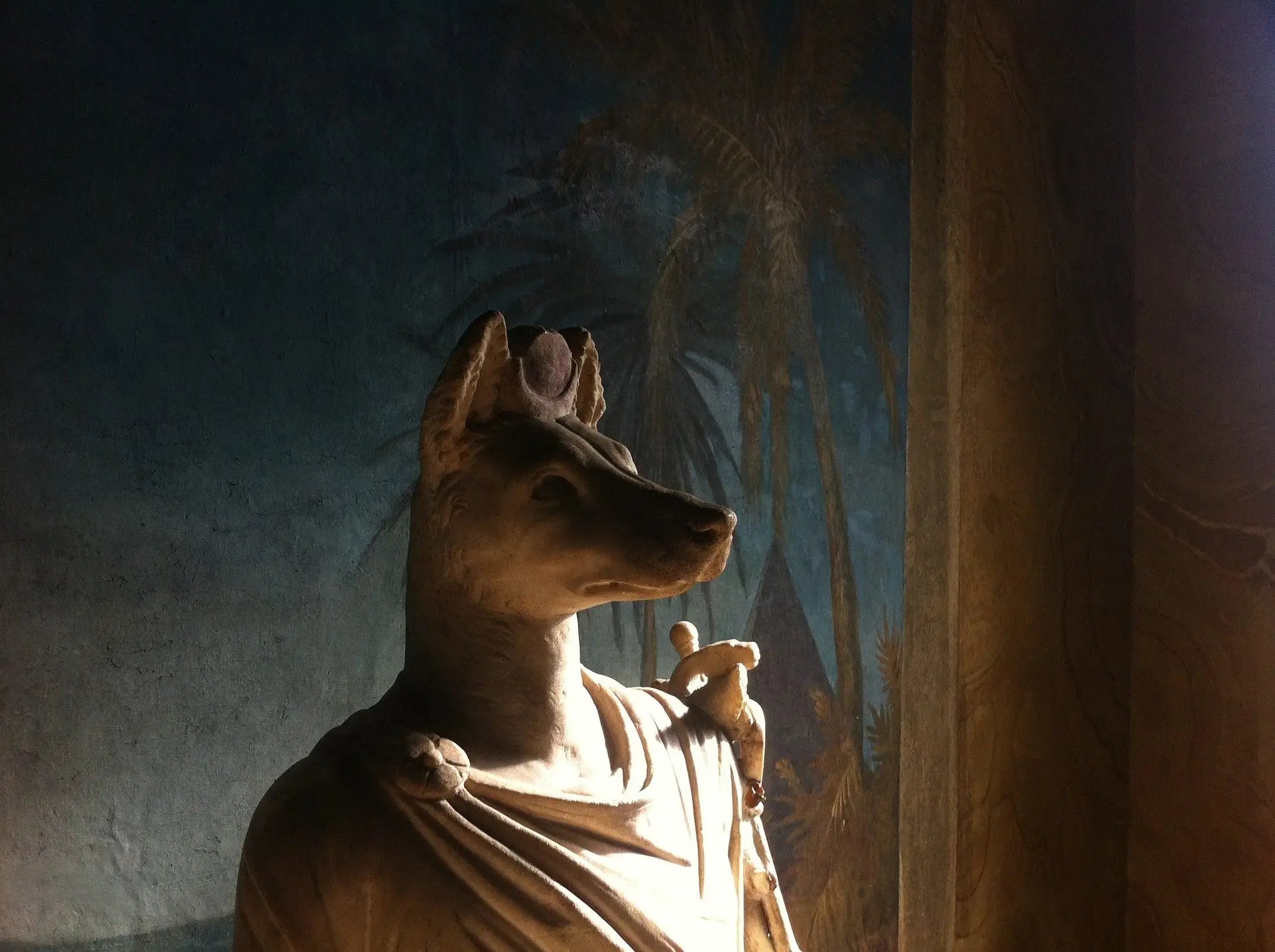 dieu anubis