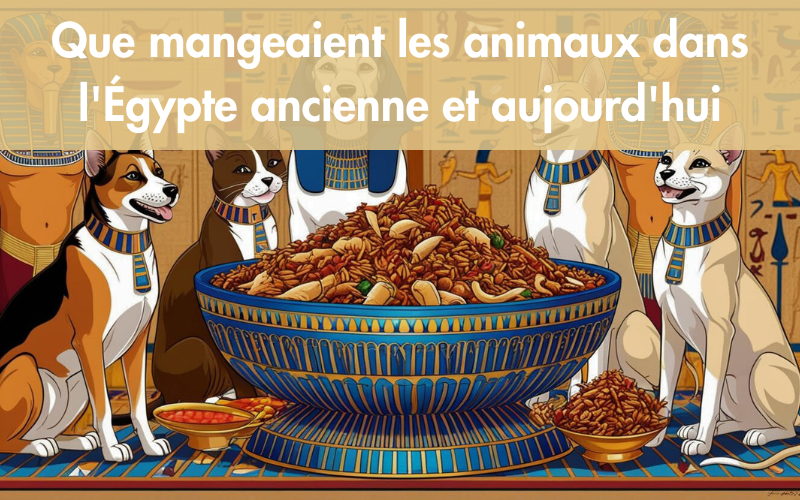 Que mangeaient les animaux dans l'Égypte ancienne et aujourd'hui