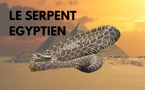 LE SERPENT ÉGYPTIEN : SYMBOLE DE POUVOIR ET DE PROTECTION | Bijoux Egypte