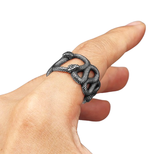 Bague Double Serpent