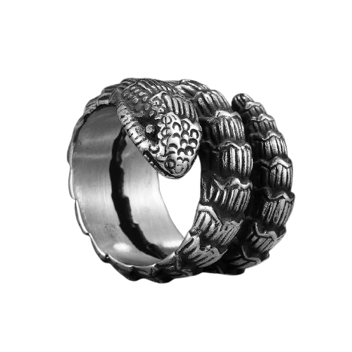 Bague Serpent Acier