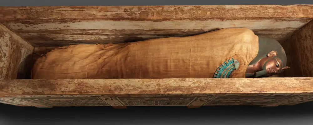 Les Momies Animales d’Egypte: Pourquoi étaient-elles