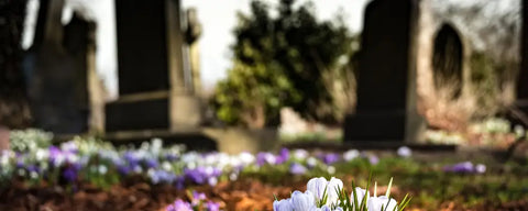 Comment les Égyptiens voyaient-ils la vie après la mort ?